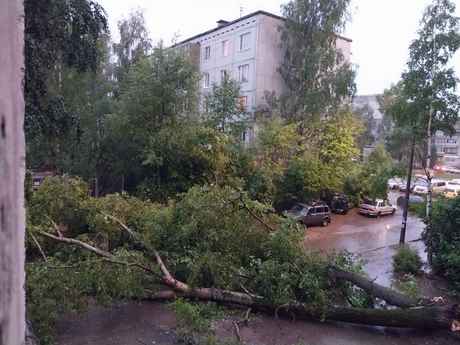 Пожар, электрофейерверк и град размером с орех: последствия стихии в  Сыктывкаре « БНК