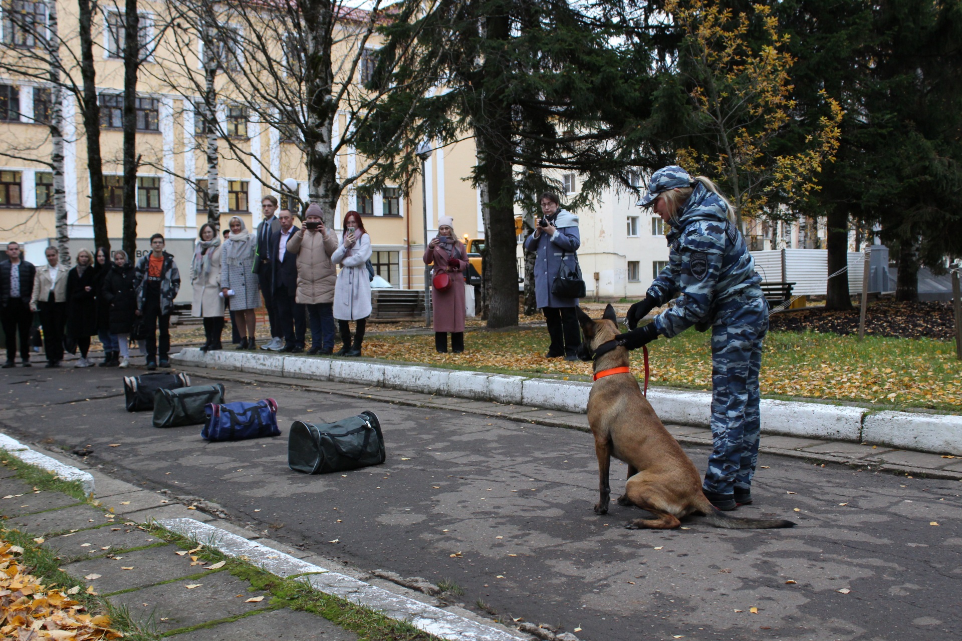 В Сыктывкаре служебная собака искала наркотики у Дома печати « БНК