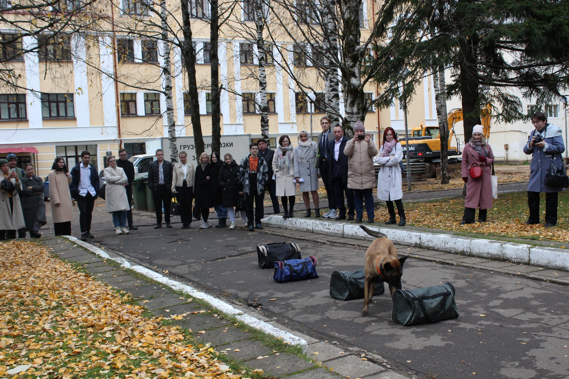 В Сыктывкаре служебная собака искала наркотики у Дома печати « БНК