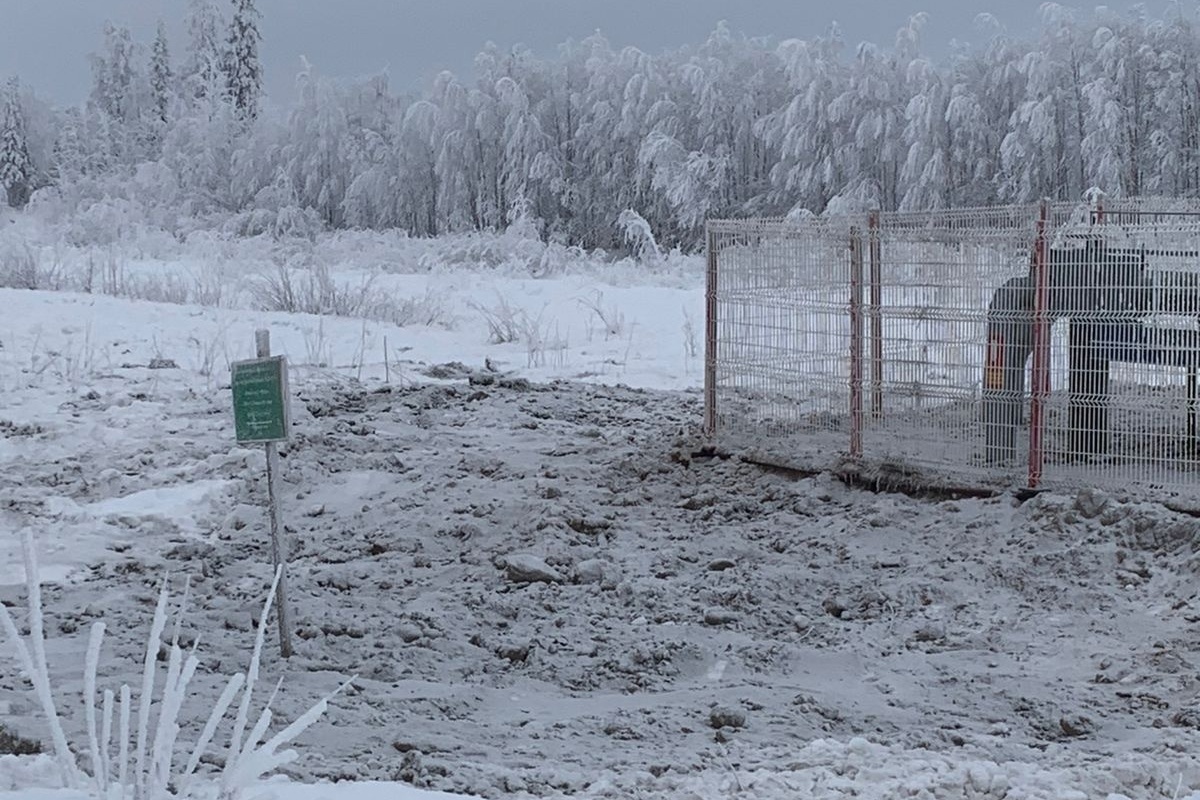 Последствия нефтеразлива на автодороге Усинск – Усть-Уса ликвидированы —  Минприроды Коми « БНК