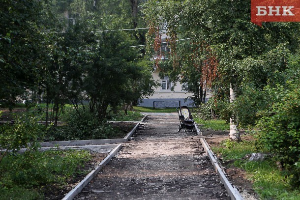 В Кировском парке на месте старых тополей посадят клены и липы