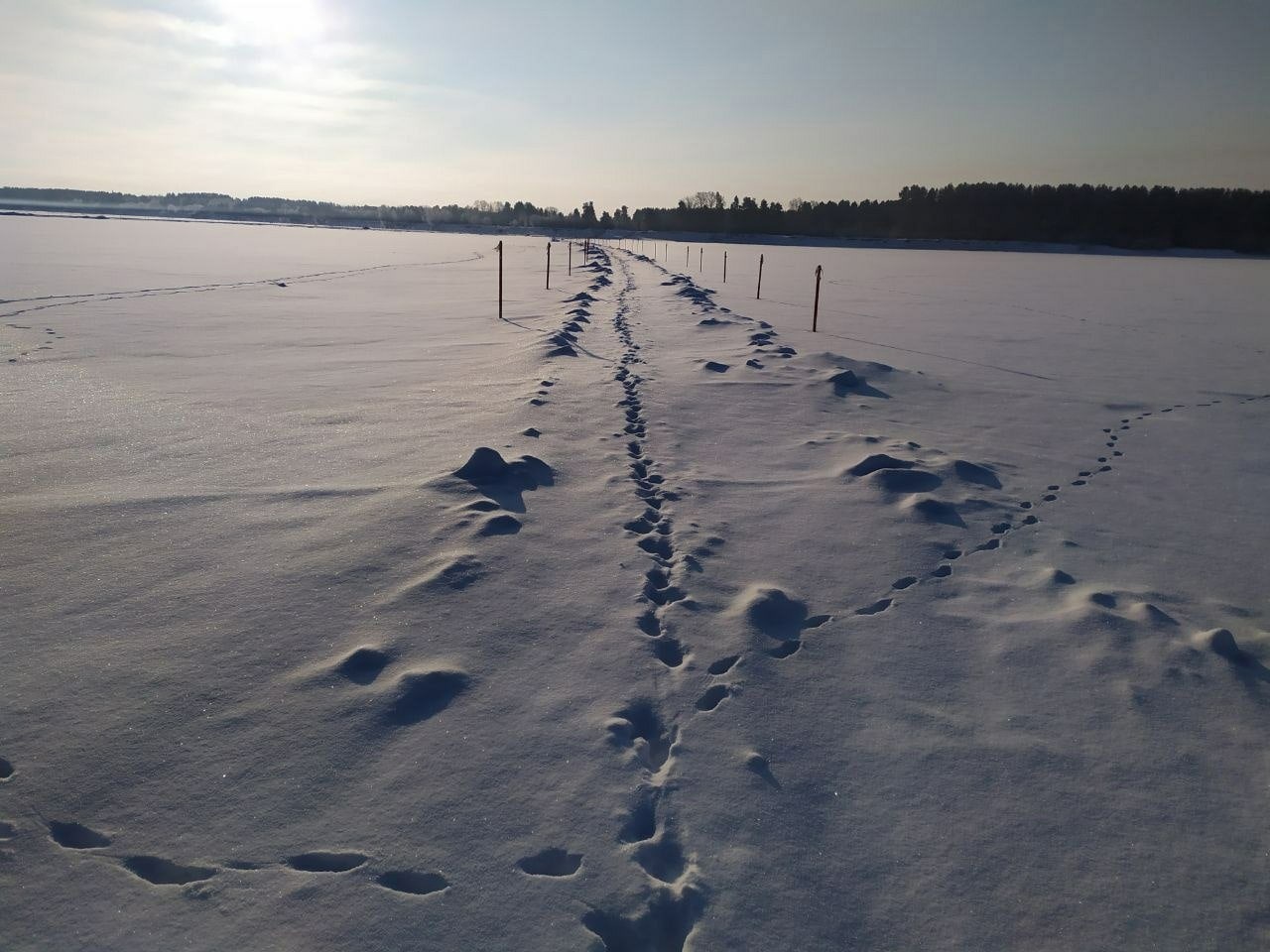 Сыктывкар седкыркещ карта