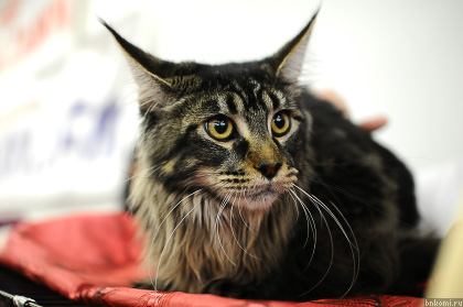 KAB_4973.jpg KAB_4973.jpg