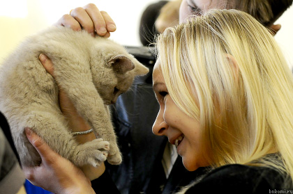 KAB_4979.jpg KAB_4979.jpg