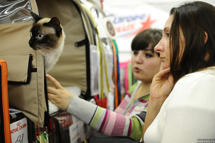 KAB_4986.jpg KAB_4986.jpg