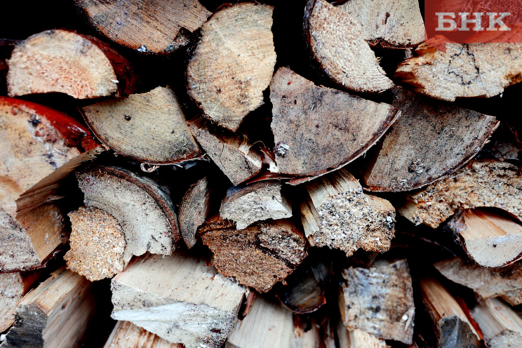 Жительницу Емвы арестовали из-за 130 поленьев