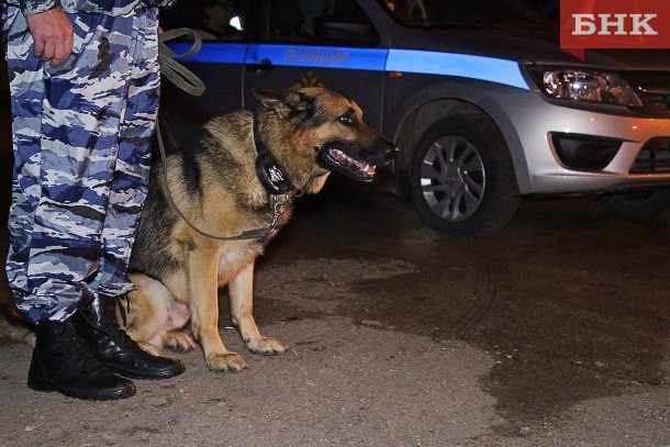  В Коми задержали москвича с крупной партией наркотиков