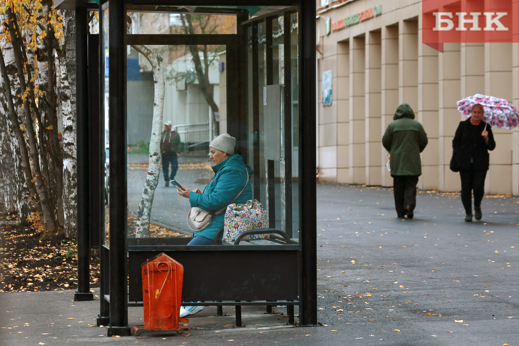 Где в Сыктывкаре появятся новые остановки « БНК