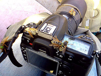 x_6150fab6.jpg x_6150fab6.jpg