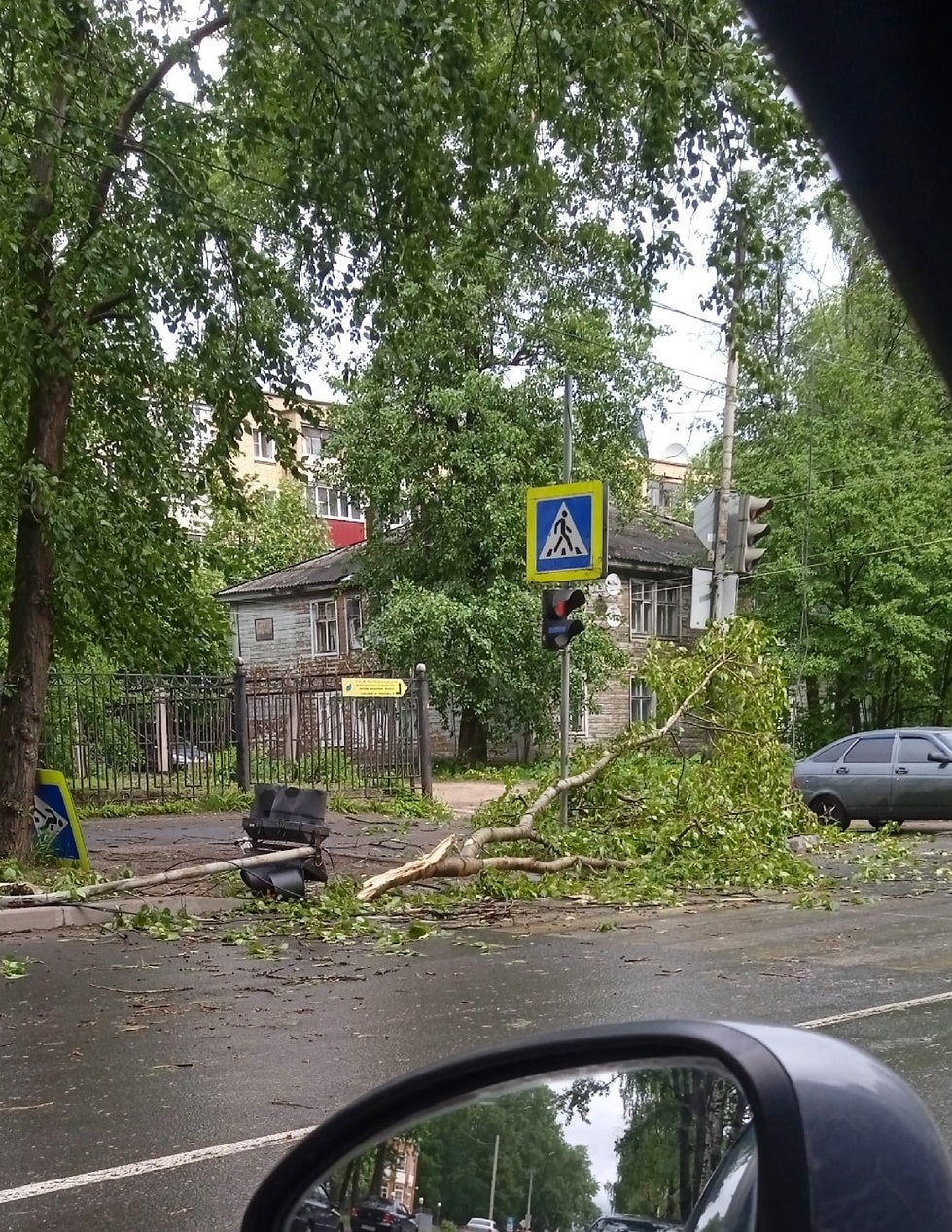 В Сыктывкаре сильный ветер ронял деревья и столбы « БНК