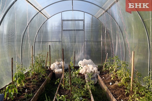 Интинец в своей квартире оборудовал теплицу для конопли