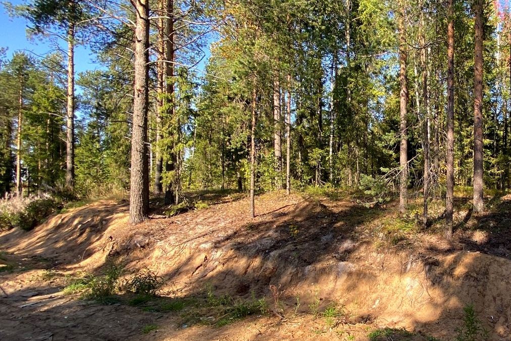  В Ижме свалку взяли под охрану фотоловушки