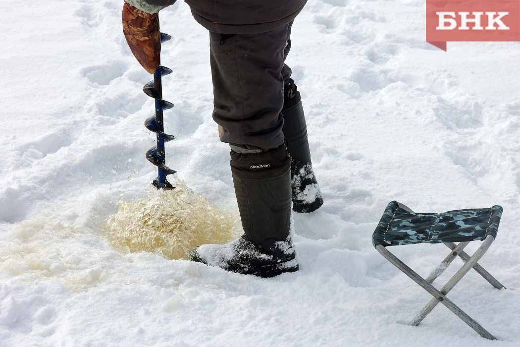 Перед судом предстанет печорец за вылов хариуса сверх нормы