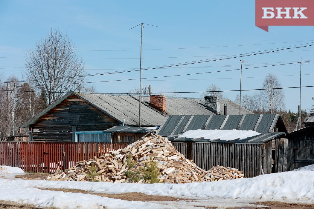 Всемирная паутина мешает жителям Коми заготавливать дрова