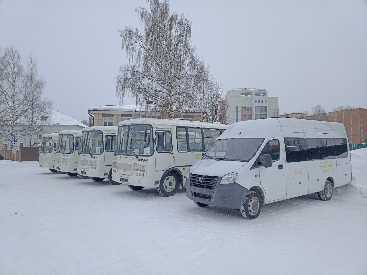 Поездка на форум, Крещение и волки в пригороде: о чем писали главы городов  и районов Коми на этой неделе