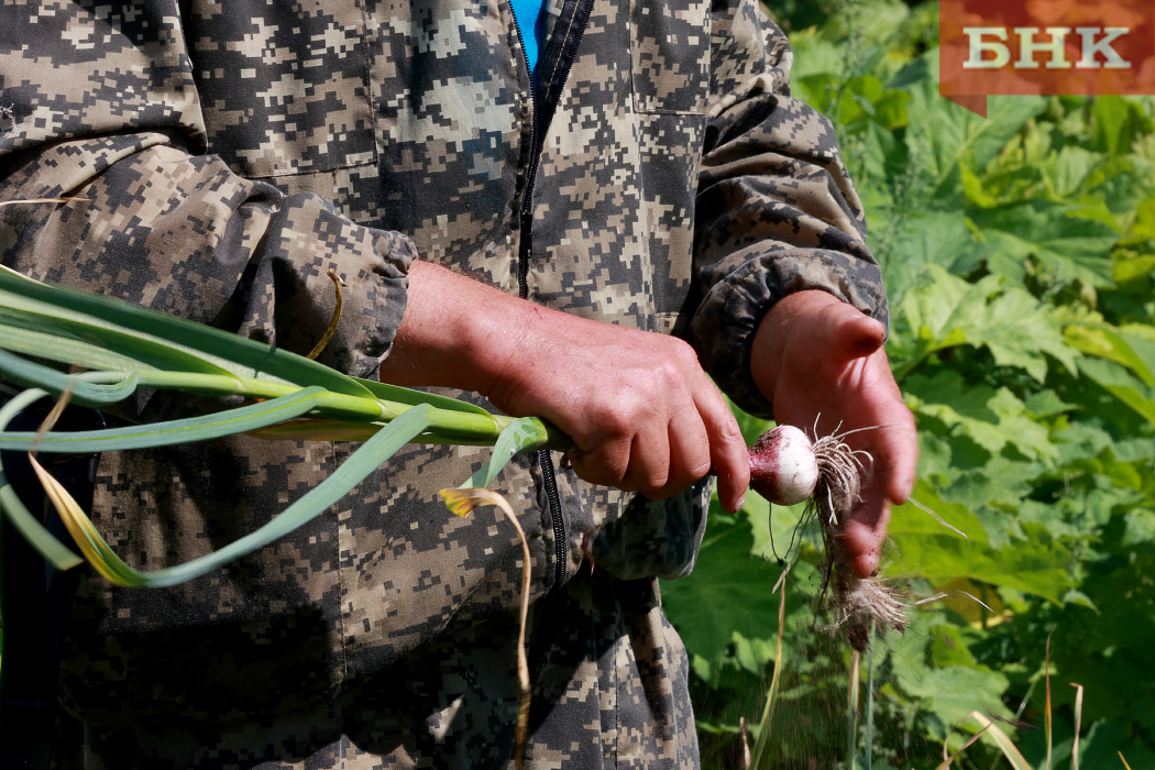 Врач назвал спасающий от рака продукт