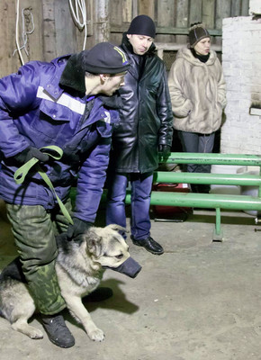 IMG_92611.jpg IMG_92611.jpg