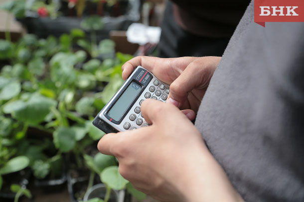 «Китайский жароустойчивый» и «Цыганский табор»: в Коми продавали незарегистрированные сорта семян