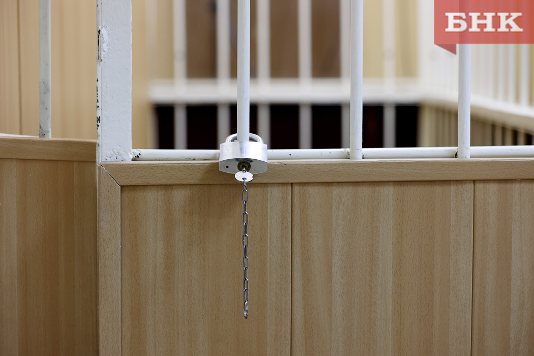 В Сосногорске 11-летнего рецидивиста поместили в спецучреждение