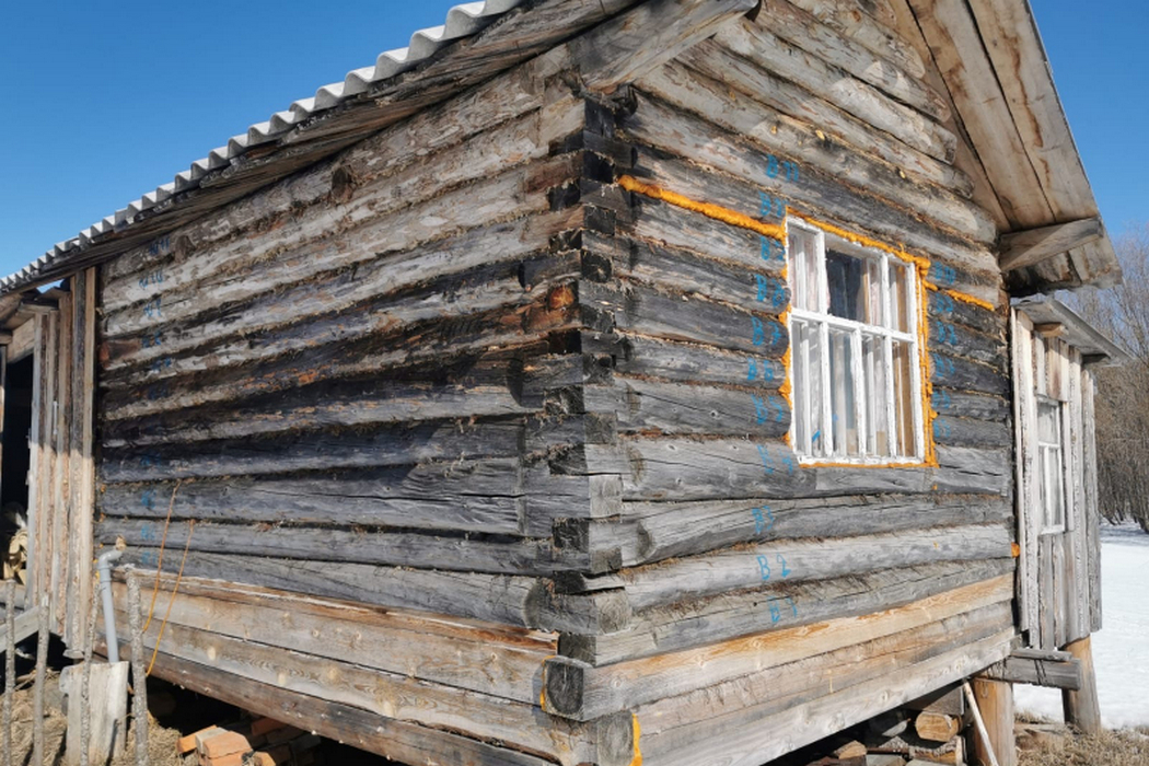 В Усть-Цильме раскрыли кражу чучел из избушки