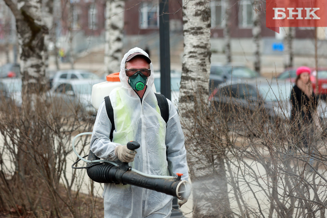 Пик активности клещей в Сыктывкаре ждут в июне