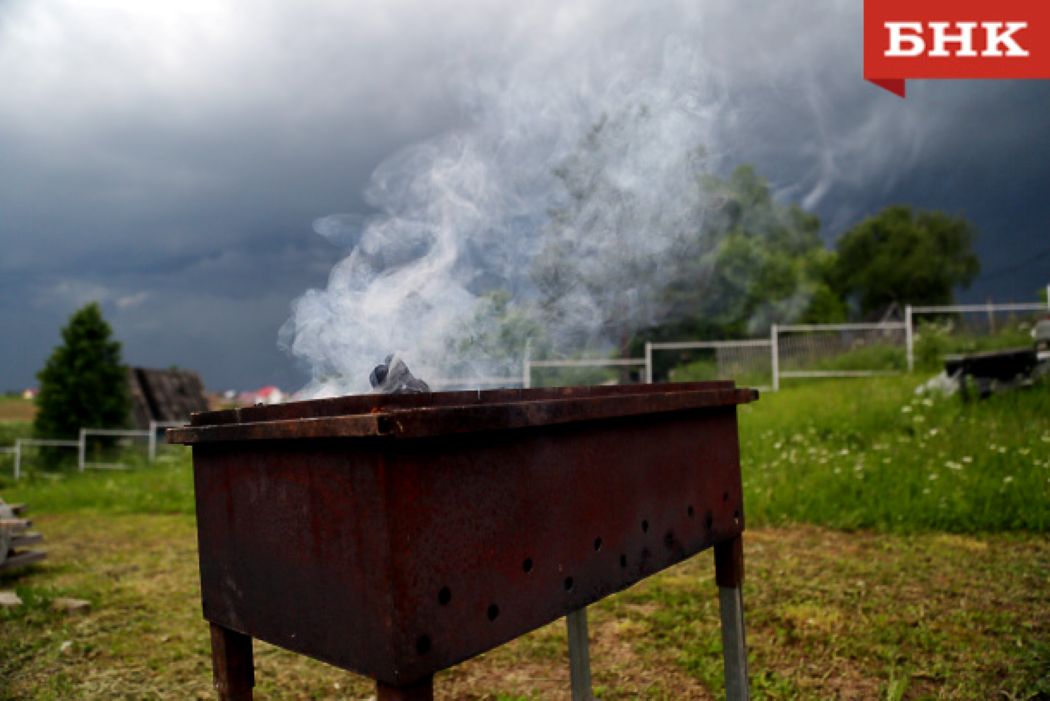 В Сыктывкаре ввели особый противопожарный режим: список запретов и штрафов