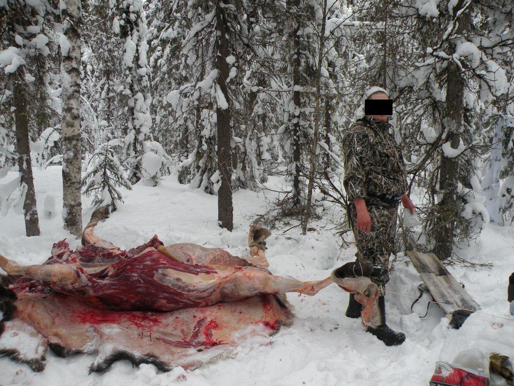 фото.jpg фото.jpg