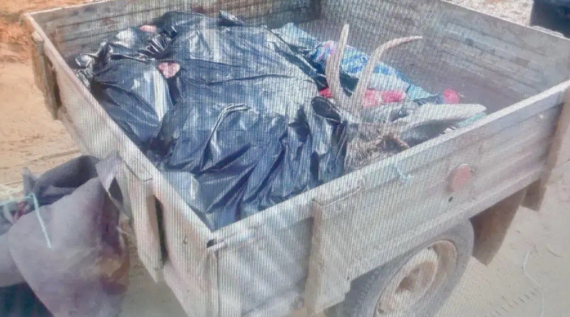 В Коми охотника из Москвы обвинили в браконьерстве