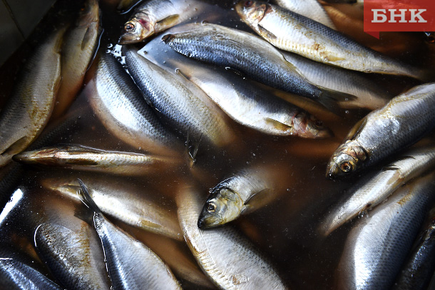 Врач предупредил об опасности селедки