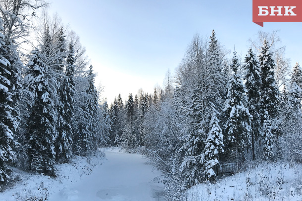 В Троицко-Печорском районе подрядчик начал расчистку дороги до Усть-Уньи