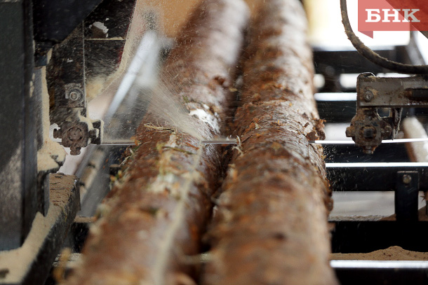 В Прилузье у владельца пилорамы заберут земли в счет ущерба лесу