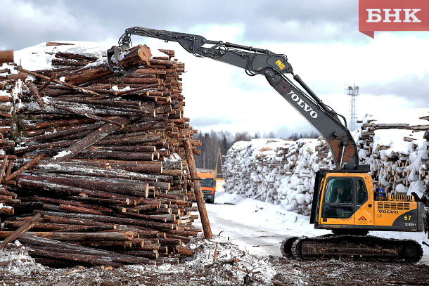 В Удорском районе возбуждено уголовное дело о незаконной рубке леса
