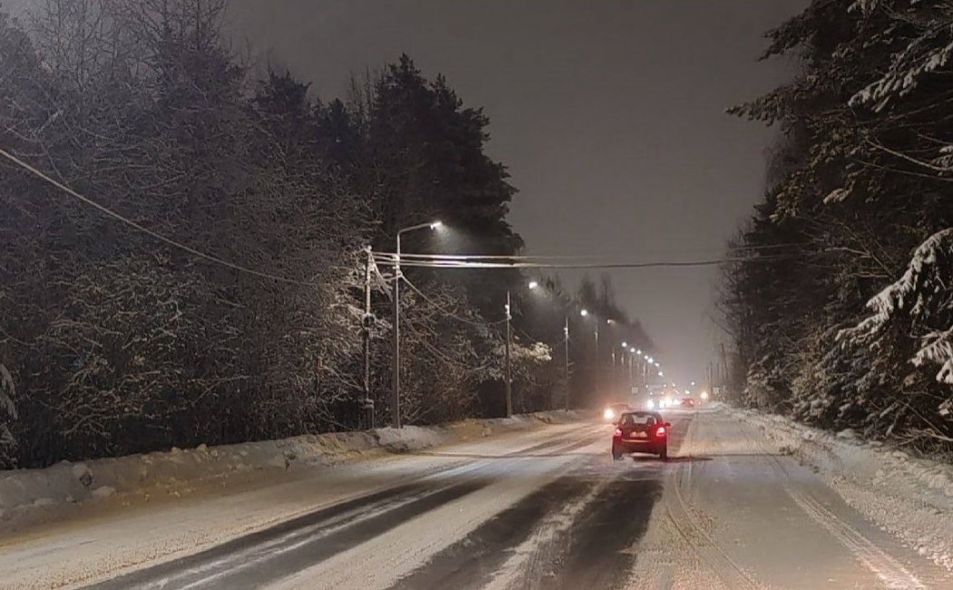 Волки в поселке, тренировка ЕГЭ и сход снега: о чем писали главы городов и районов Коми на этой неделе