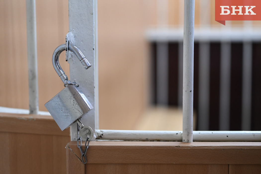 Подростка из Удоры арестовали по обвинению в подготовке массового убийства в школе