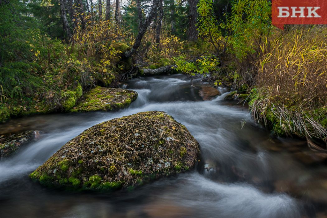 Никто не захотел добывать россыпное золото на месторождении в Ухтинском районе