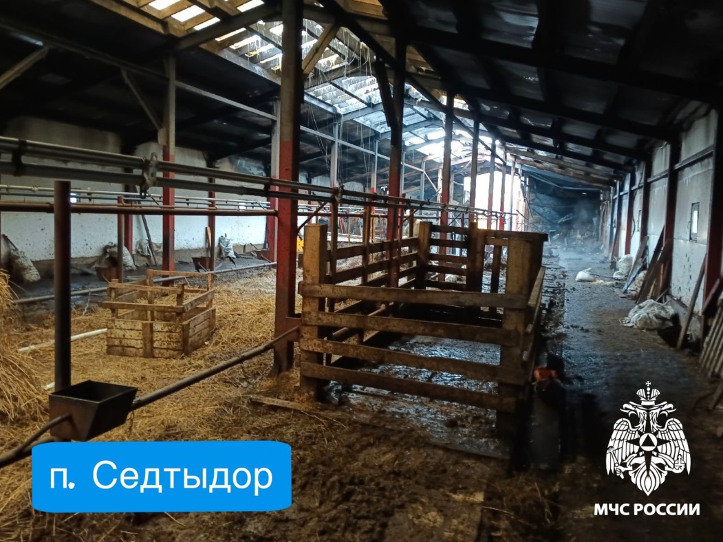 В Коми сгорели ферма и автомобиль