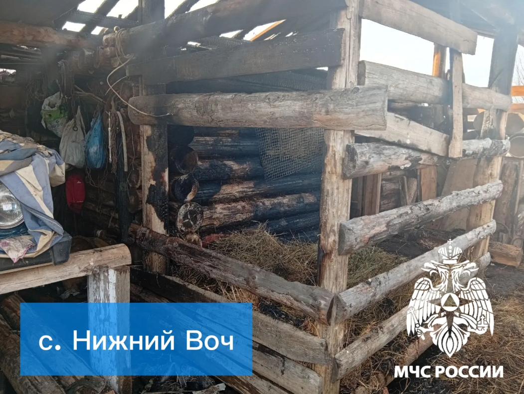 В усть-куломском селе пожарные спасли курятник