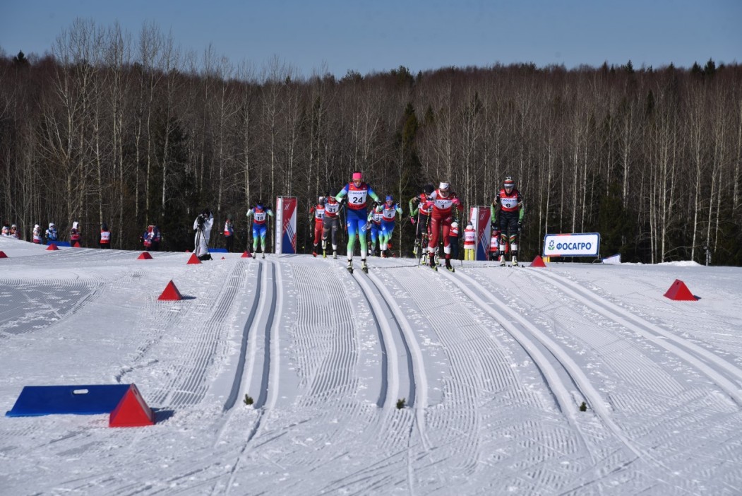 Лыжные гонки и плавание возглавили топ-10 самых популярных видов спорта в Коми