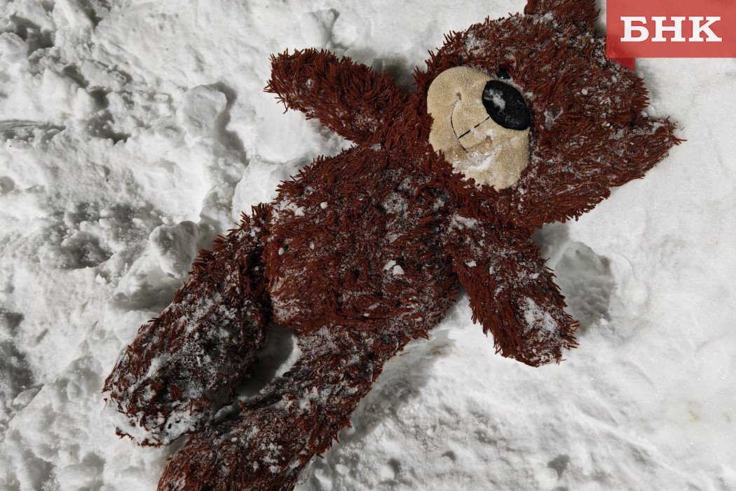 За год в Коми скончались 67 детей