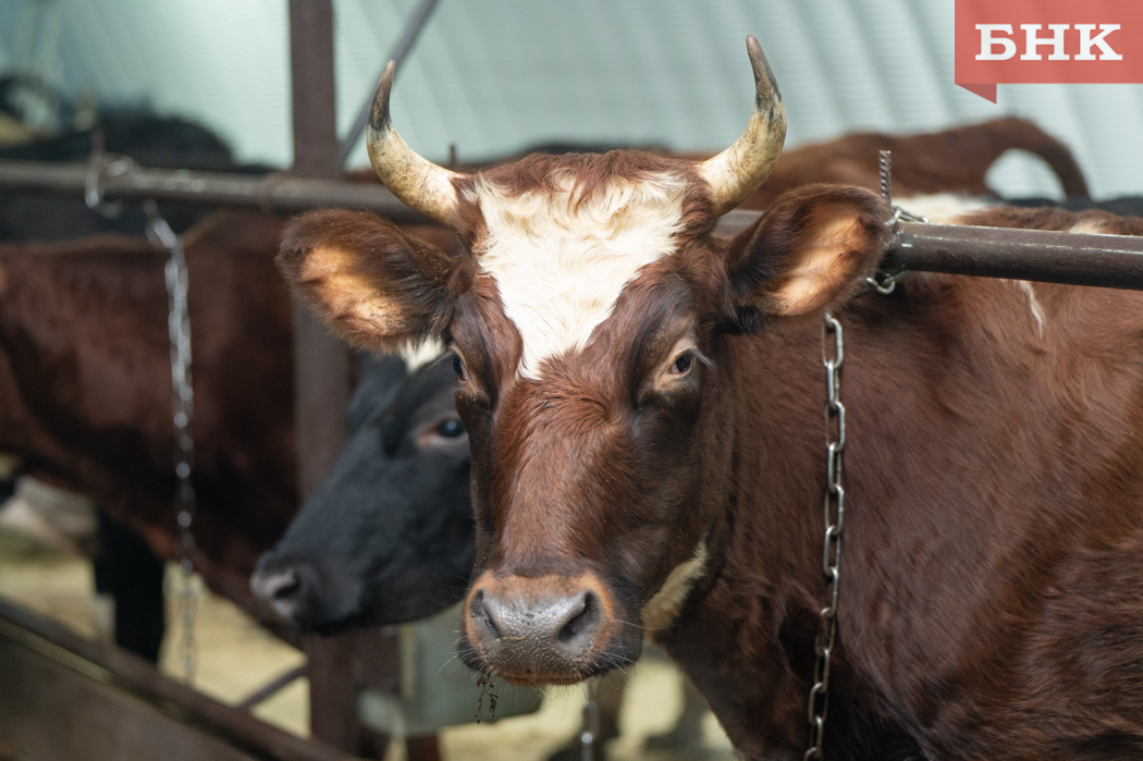 Прилузское сельхозпредприятие компенсировало экологический ущерб