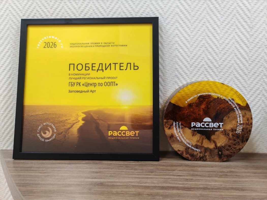 Культурно-просветительский проект из Коми победил в национальной премии «Рассвет»