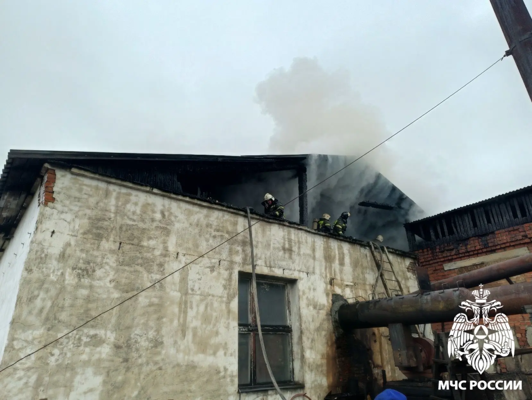 Названа причина пожара на молокозаводе в Койгородке