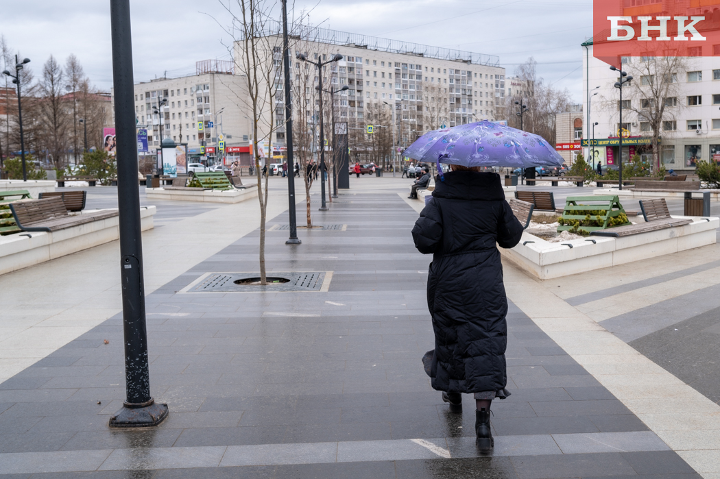 В Коми прогнозируют снег и дождь