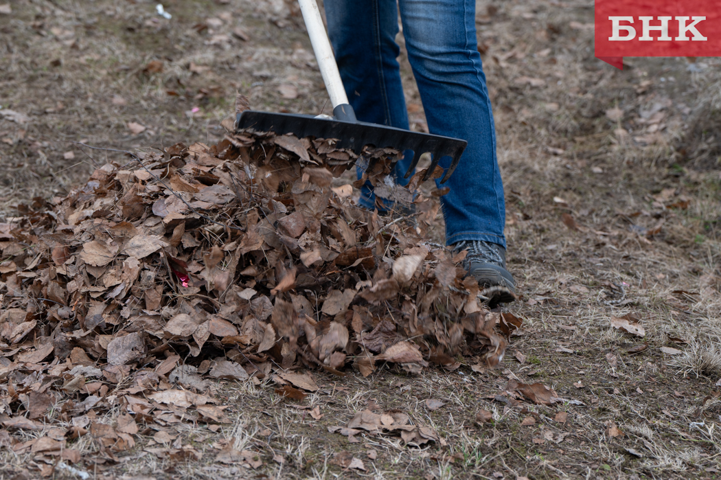 Усть-Куломскому району предписали не допустить вспышек мышиной лихорадки