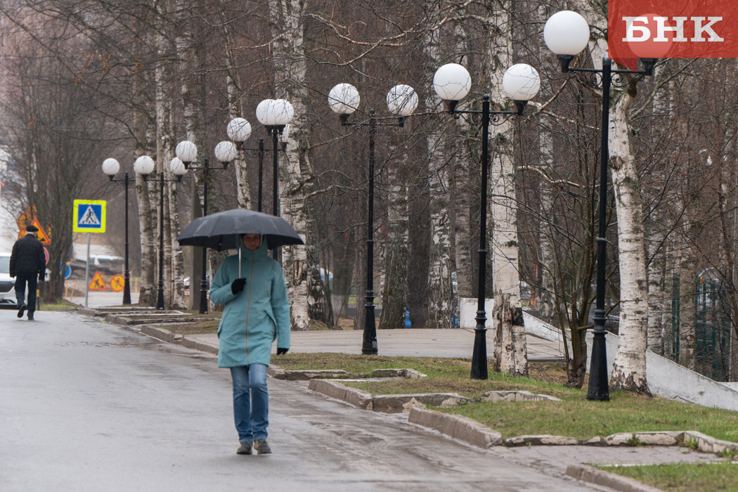 В Коми прогнозируют теплую и дождливую погоду