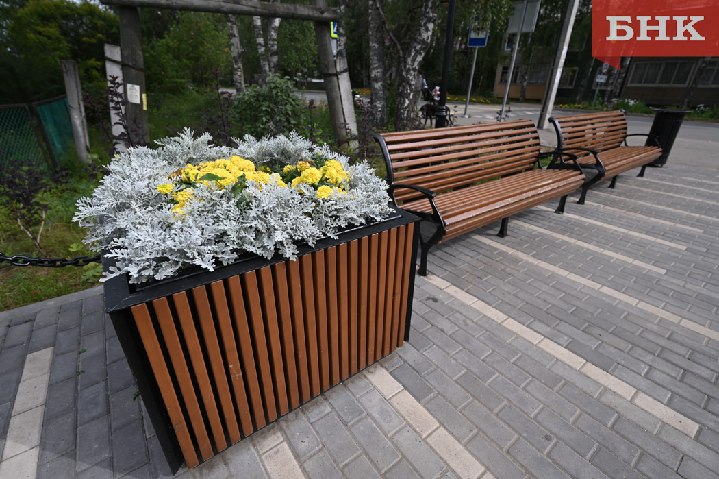 «Единая Россия» и Минстрой проводят в Коми ежегодное голосование за скверы и дворы