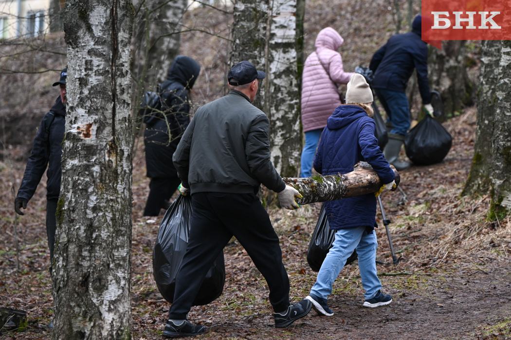 Как сыктывкарцам помочь с уборкой города
