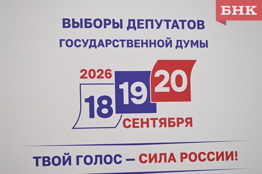 Жители Коми до конца дня могут подать заявление на онлайн-голосование