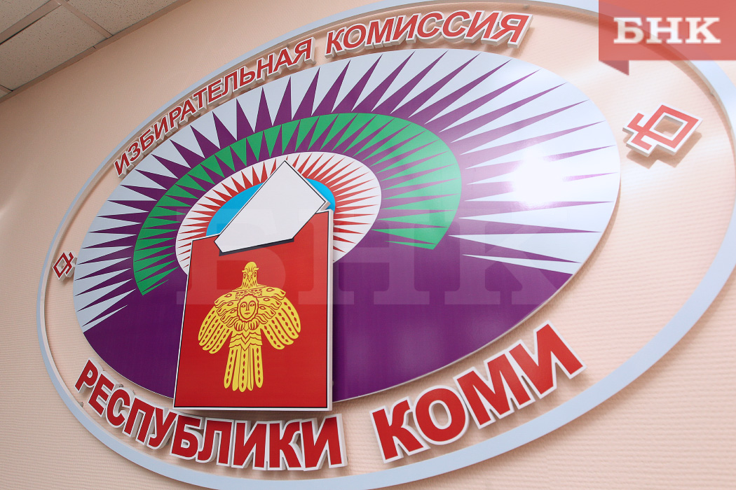 Как жителям голосовать при неполадках с ДЭГ