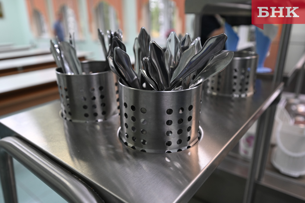 В Коми проанализируют закупки продуктов для школ
